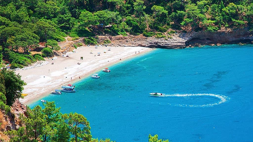 Kabak Koyu kabak koyu
