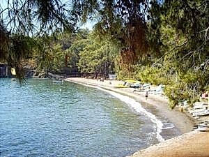 Katrancı Koyu katrancı koyu